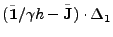 $\displaystyle (\tilde{{\bf 1}}/\gamma h - \tilde{{\bf J}}) \cdot \Delta_1$