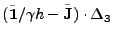 $\displaystyle (\tilde{{\bf 1}}/\gamma h - \tilde{{\bf J}}) \cdot \Delta_3$