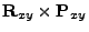 $\displaystyle {\bf R}_{xy}\times {\bf P}_{xy}$