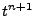 $ t^{n+1}$