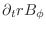 $\displaystyle \partial_t rB_\phi$