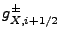 $ g^\pm_{X,i+1/2}$