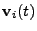 $ \mathbf{v}_i(t)$