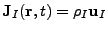 $ \mathbf{J}_I(\mathbf{r},t)=\rho_I\mathbf{u}_I$