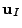 $ \mathbf{u}_I$