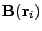 $ \mathbf{B}(\mathbf{r}_i)$