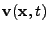 $ {\bf v}({\bf x},t)$