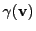 $ \gamma({\bf v})$