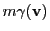 $ m\gamma({\bf v})$