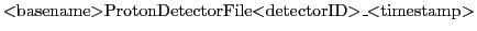 $\displaystyle \mbox{$<$basename$>$ProtonDetectorFile$<$detectorID$>$\_$<$timestamp$>$}$