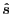 $ {\hat s}$