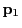 $ {\bf p}_1$