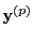 $ {\bf y}^{(p)}$