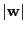 $ \vert{\bf w}\vert$