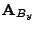 $ \mathbf{A}_{B_y}$