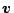 $ \boldsymbol v$