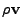 $ \rho\textbf{v}\xspace $