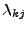 $ \lambda _{kj}$